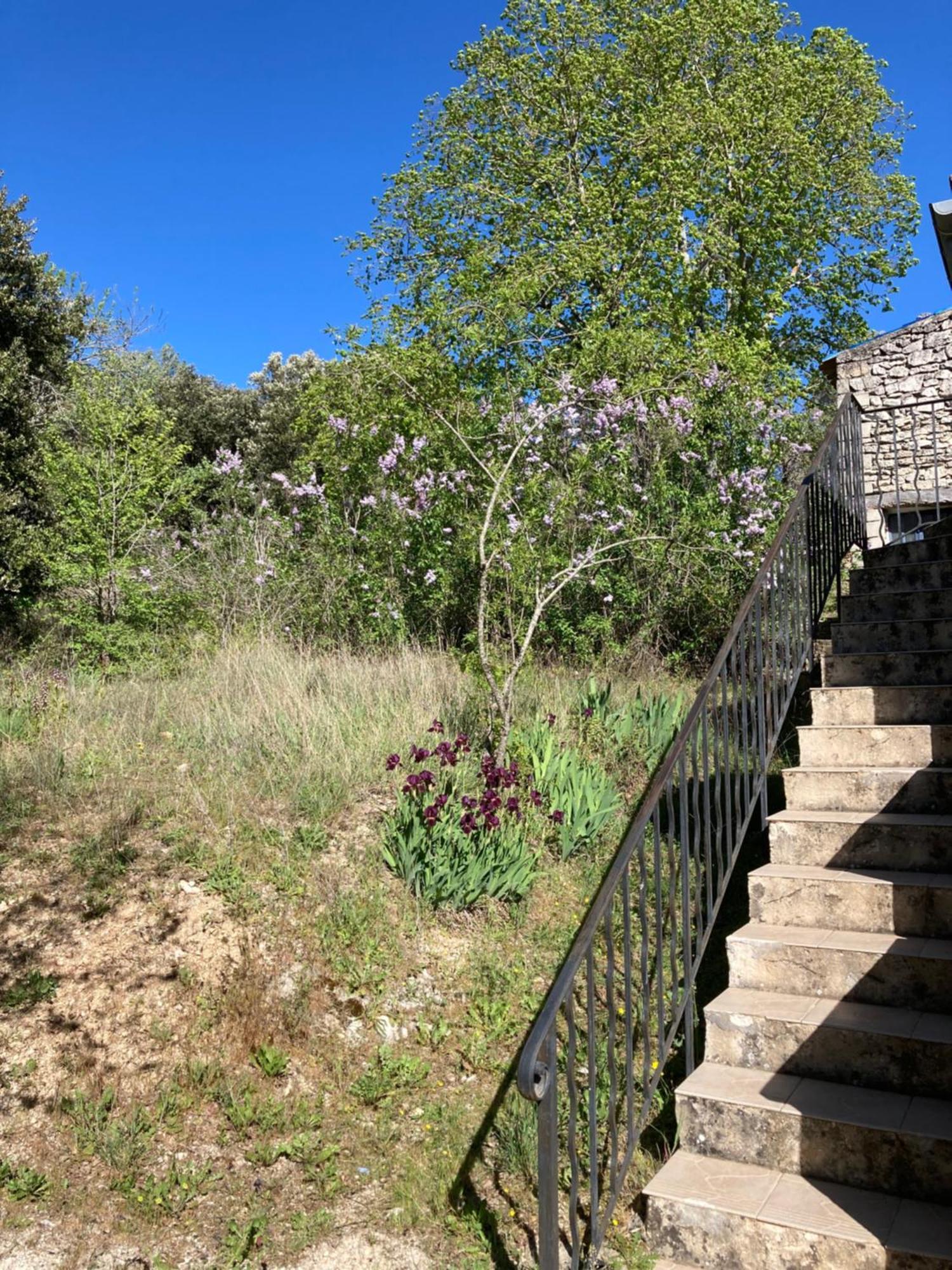 Maison Au Colorado Provencal Villa Rustrel Kültér fotó