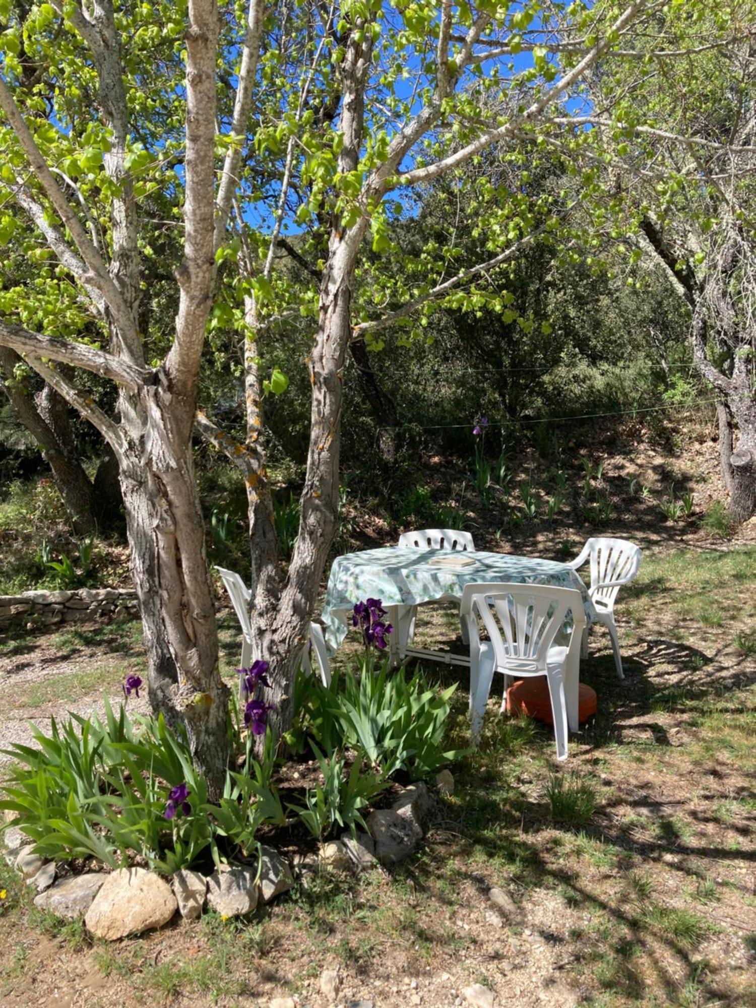 Maison Au Colorado Provencal Villa Rustrel Kültér fotó