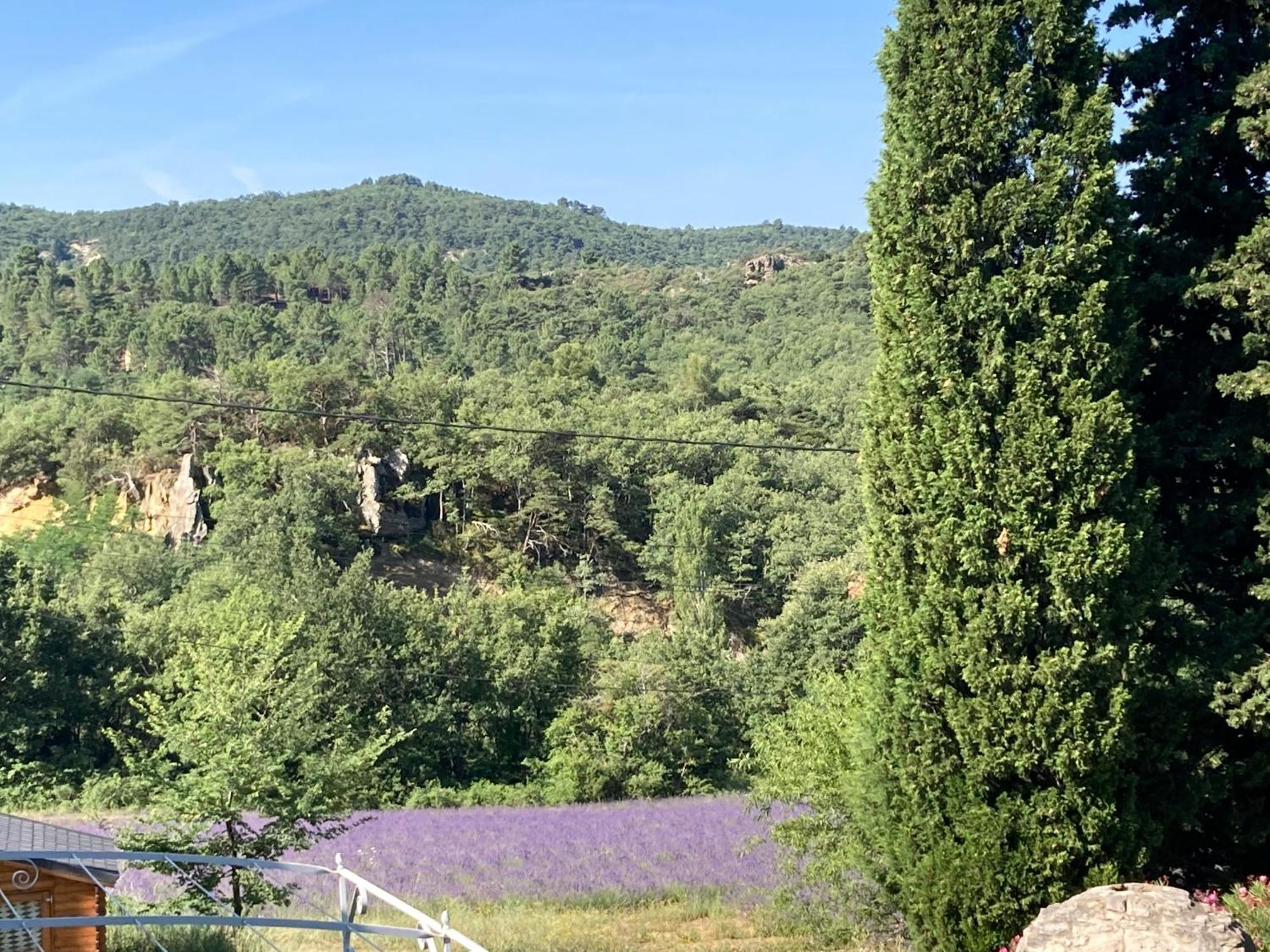 Maison Au Colorado Provencal Villa Rustrel Kültér fotó