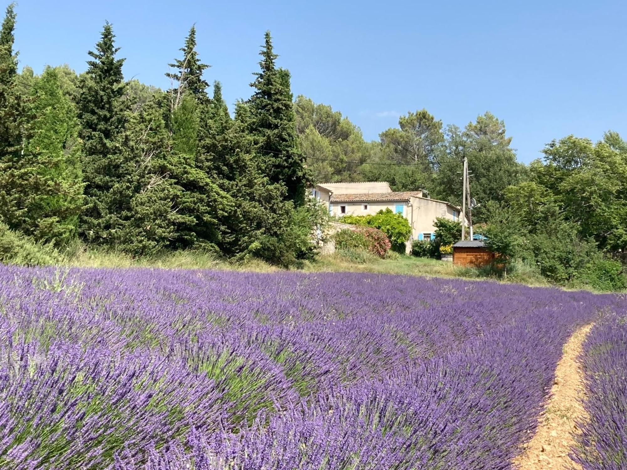 Maison Au Colorado Provencal Villa Rustrel Kültér fotó