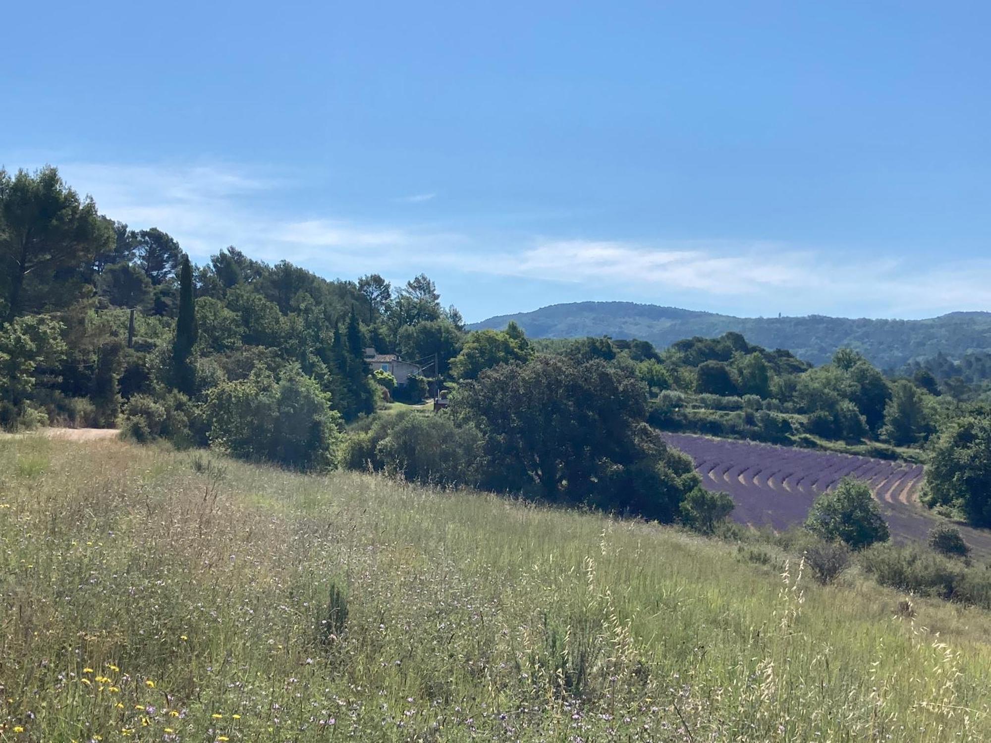 Maison Au Colorado Provencal Villa Rustrel Kültér fotó